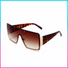 Brown Studded Leopard Print Sunglasses